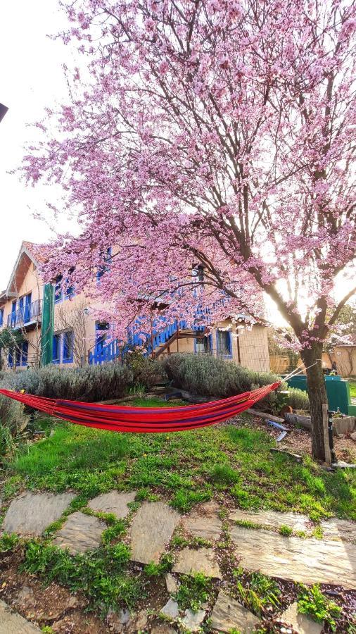 Albergue De Peregrinos Casa Flor Murias de Rechivaldo Exteriér fotografie