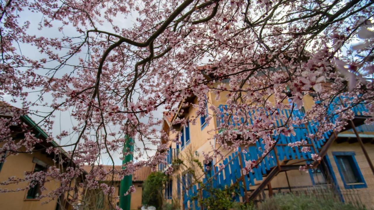 Albergue De Peregrinos Casa Flor Murias de Rechivaldo Exteriér fotografie
